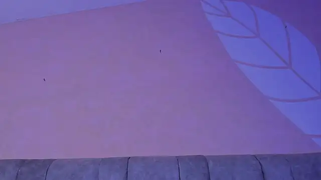 MarcoAndAllice webcam