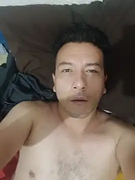sebwine webcam