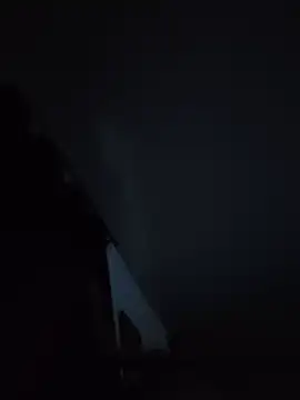 Ariasterliing webcam
