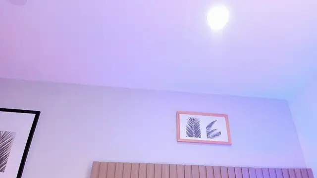 _chell webcam