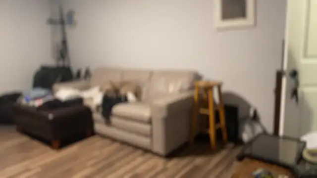 flexingplexico webcam