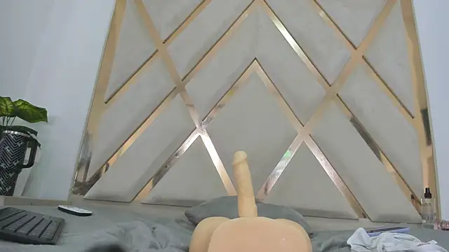 mitch_asm webcam