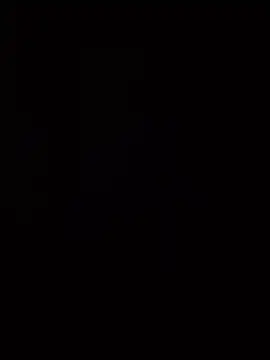 segall webcam