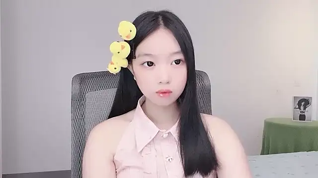 Yoyo33355 webcam