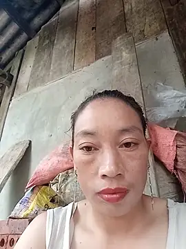 Helly-i webcam
