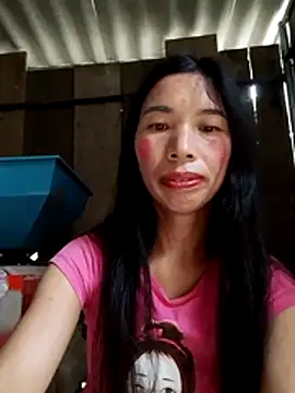 Tho-bibi webcam
