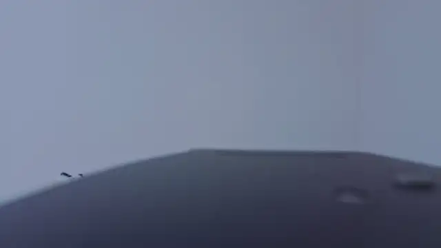 howl_baby webcam