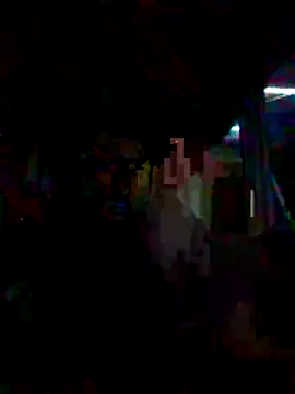 1-9-9-3 webcam