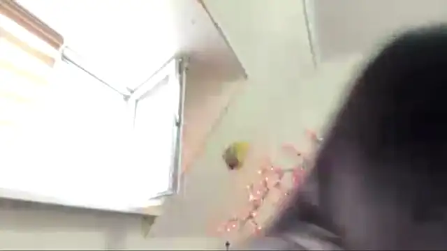 SweetMiaXO webcam