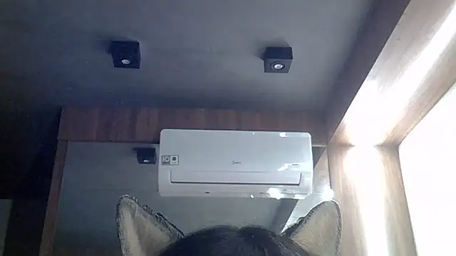 SkinnyKitten webcam