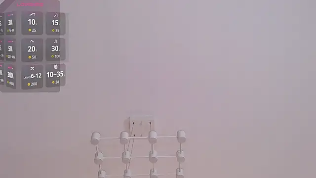 AikoSora webcam