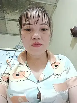 Sana-vn webcam