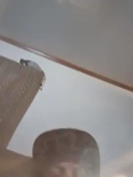 longerFellow webcam