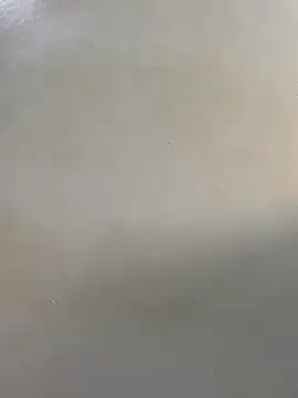 nasty-sexygal webcam