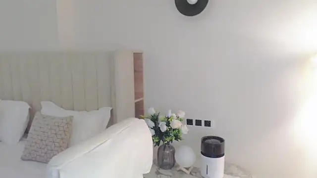 VeliaSai webcam