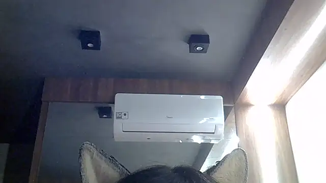SkinnyKitten webcam