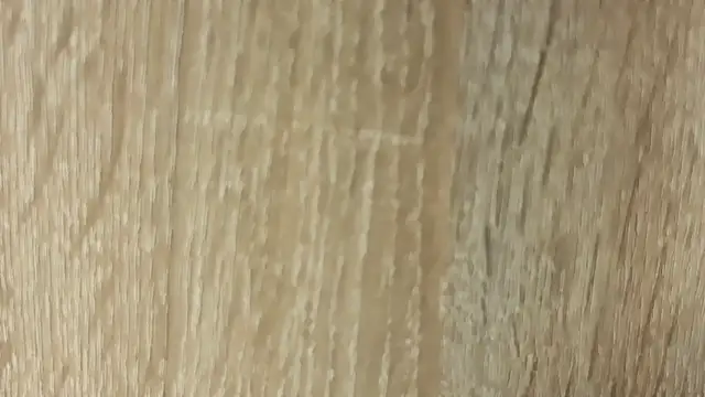 NoFace_Model webcam