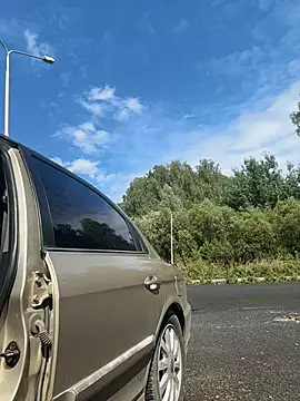 MerlinDave live cam