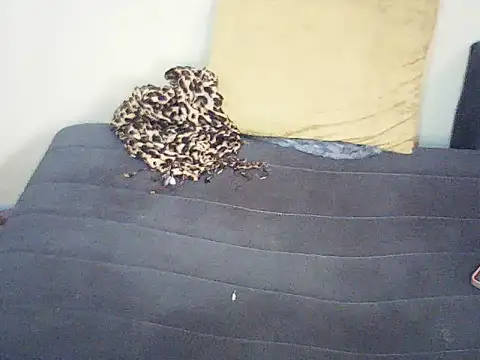 spicy-laidy01 webcam