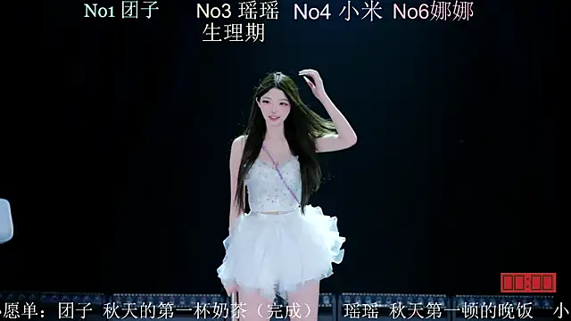 lv-520 webcam