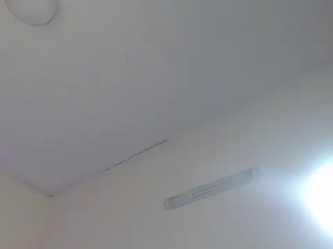 Valentine_Rose webcam