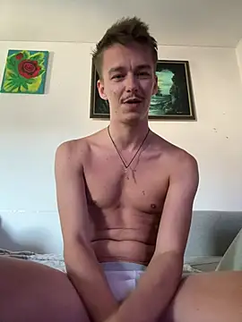 Toyjungee webcam