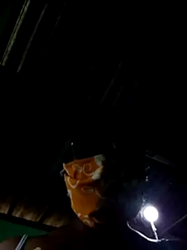 ROSEPANTY webcam