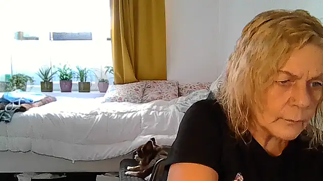 belgianshantie webcam