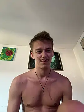 Toyjungee webcam