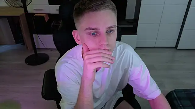 pvlpstvy webcam
