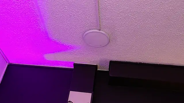 Evie_demn webcam