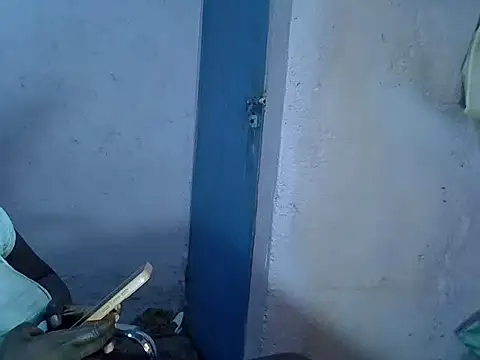 tashlin webcam