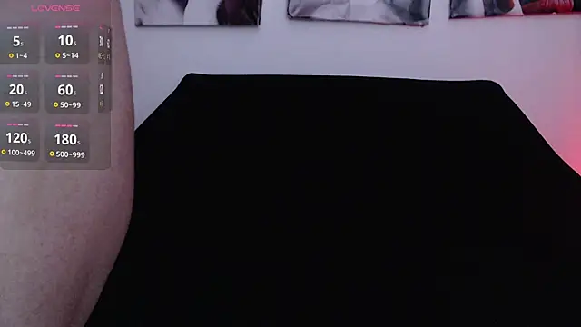 miis_laiila webcam