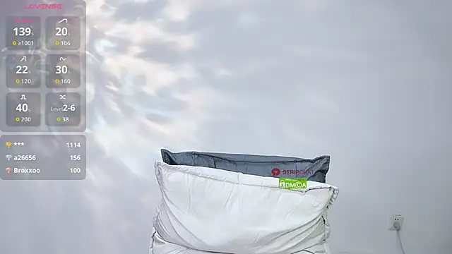 ice1-1e webcam