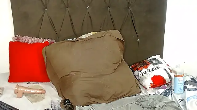 DidyBerry webcam