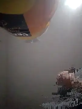 CulturedBus909 webcam