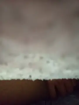 Siririco944 webcam