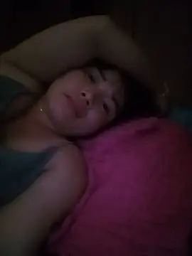 -Nibi- webcam
