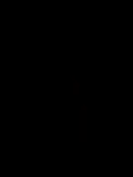 Demillvan webcam