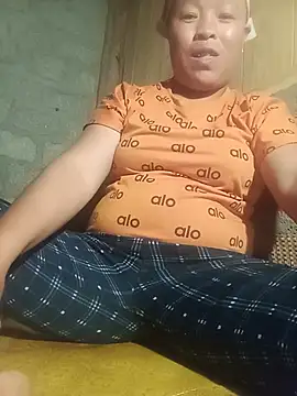Ip34 webcam