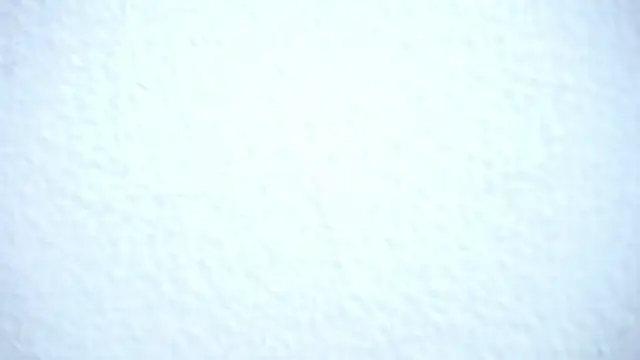 nat_evans8 webcam