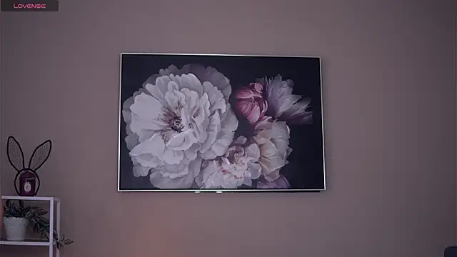 TSGisele webcam