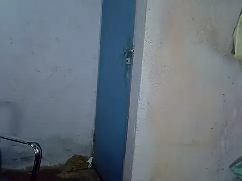tashlin webcam