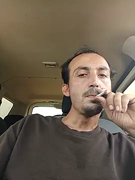 Sikici0734