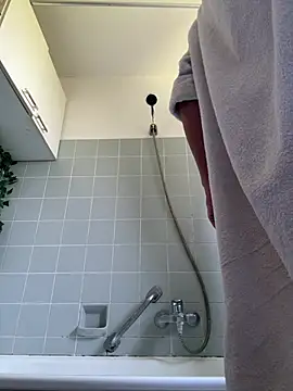 Toyjungee webcam
