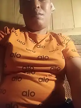 Ip34 webcam