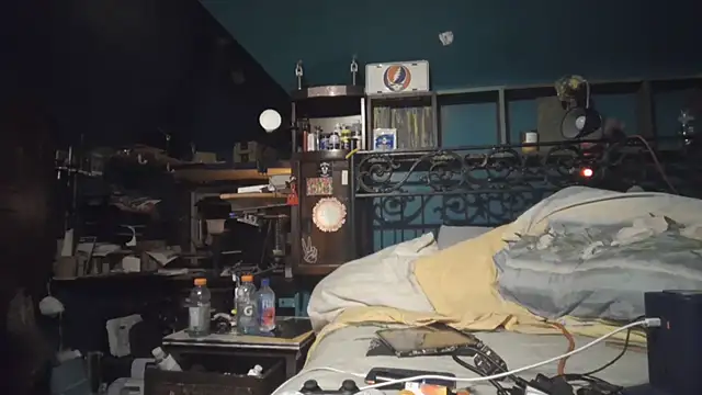 charactrzero webcam