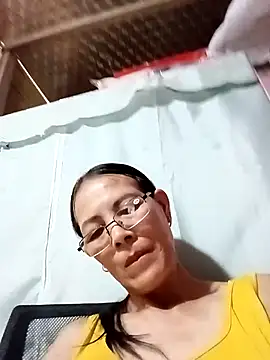 toyo_668 webcam