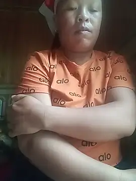 Ip34 webcam