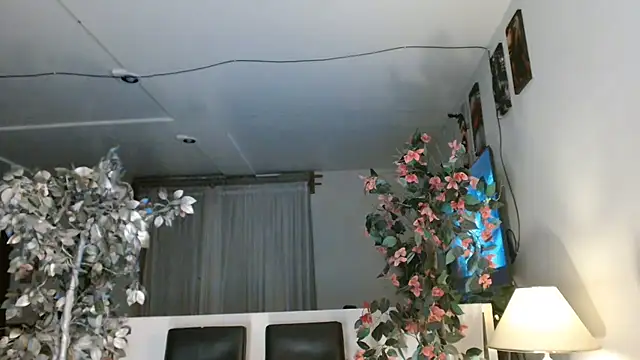 3littles webcam